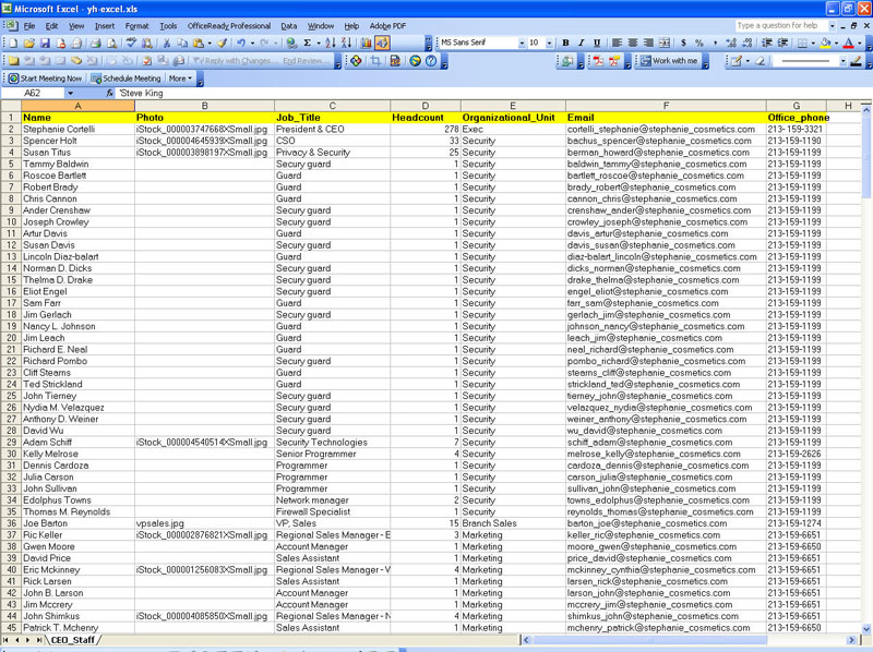 excel organizational chart